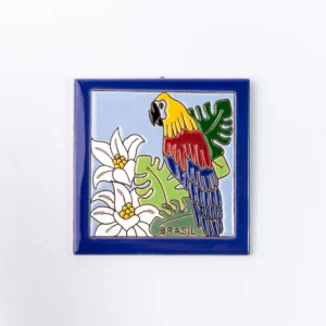 PLACA GRANDE - ARARA, BRASIL